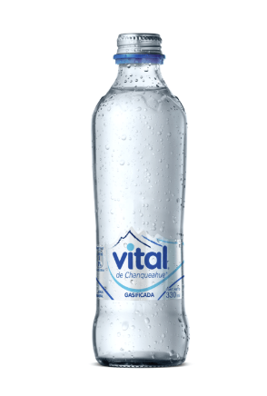 AGUA MINERAL CON GAS 330 ml